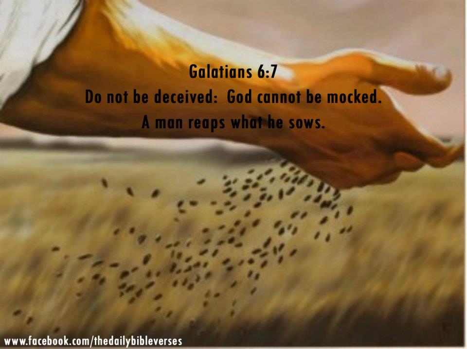 Galatians 6.7