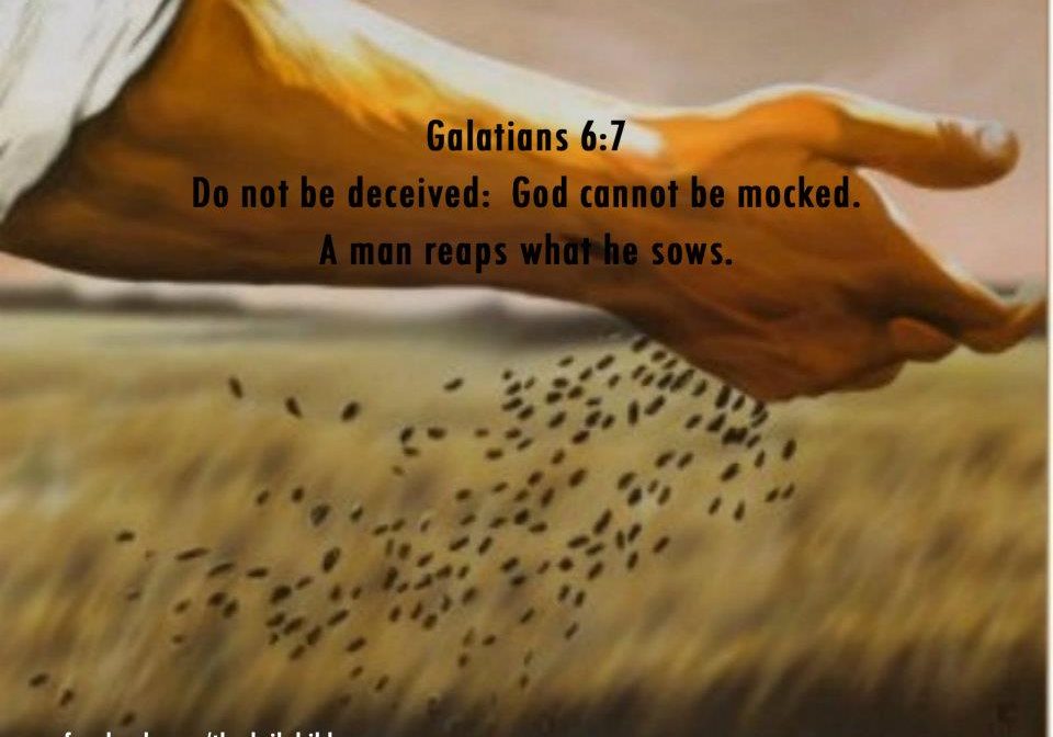 Galatians 6.7